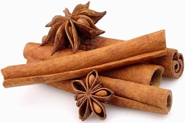 Vỏ quế là nguyên liệu tuyệt vời trong chế biến món ăn và thuốc điều trị bệnh