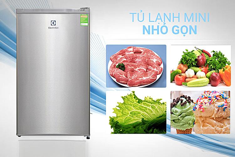 Tủ Lạnh Mini Electrolux EUM0900SA (90L)