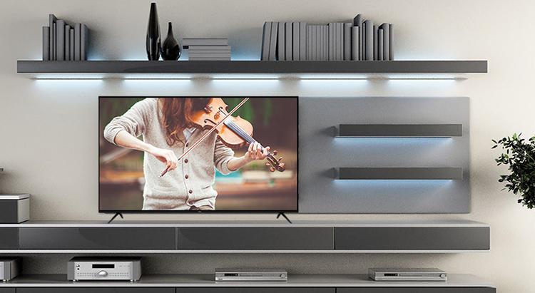 Smart Tivi TCL 55 inch 4K UHD L55P65-UF