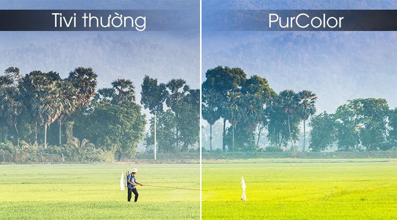 Công nghệ PurColor với dải màu rộng cho hình ảnh sống động, màu sắc bắt mắt Công nghệ PurColor với dải màu rộng cho hình ảnh sống động, màu sắc bắt mắt