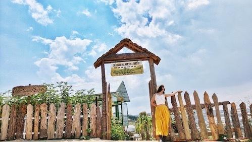 Ngoài ra, du khách còn được thưởng thức những bữa ăn làm từ nguyên liệu sạch trồng ở nông trại, thưởng thức cà phê thư giãn trong không gian nhiều thú cưng như: chó, mèo, thỏ... Bunny Hill cũng có dịch vụ lưu trú dành cho khách phương xa.