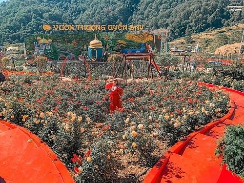 Ở đây có những đồi hoa chạy dài, tiểu cảnh cây cầu uốn quanh dòng suối, đường hoa, vòm hoa xếp theo hình trái tim...