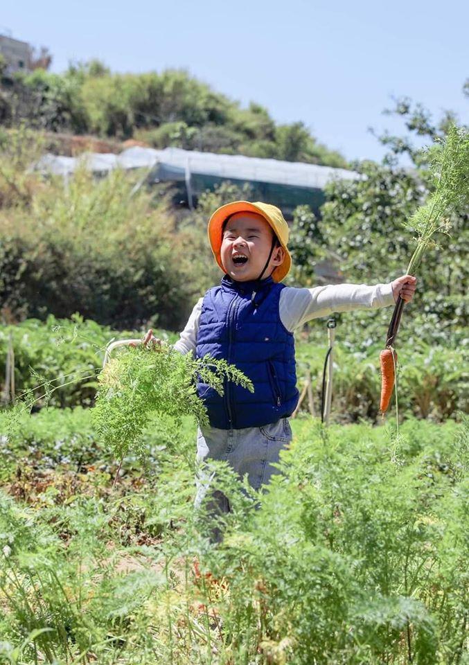 Ảnh: DaLat Bunny Hill.