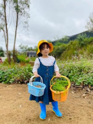 DaLat Bunny Hill Trải Nghiệm Một Ngày Làm Nông Dân Ở Xứ Sở Mộng Mơ