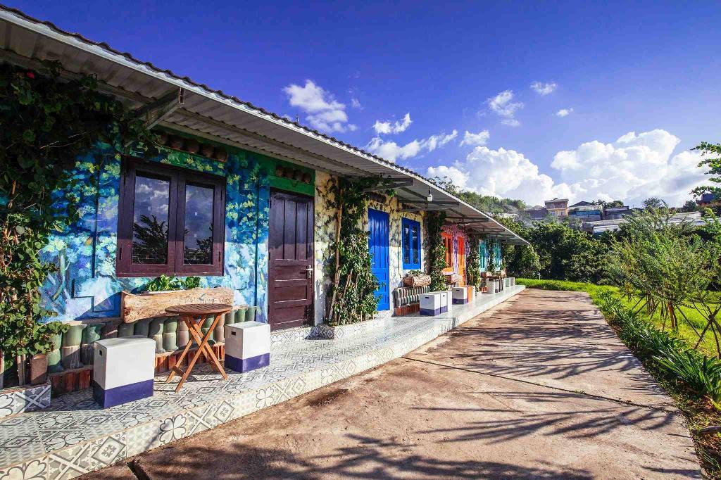 DaLat Bunny Hill Trải Nghiệm Một Ngày Làm Nông Dân Ở Xứ Sở Mộng Mơ