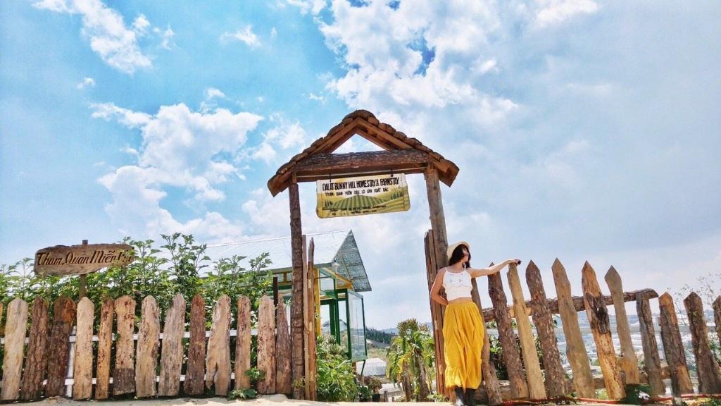DaLat Bunny Hill Trải Nghiệm Một Ngày Làm Nông Dân Ở Xứ Sở Mộng Mơ