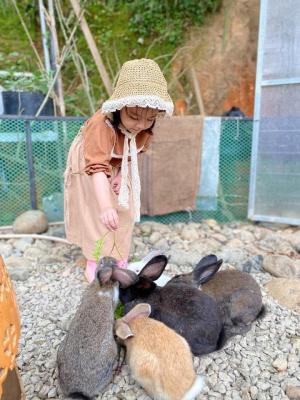 DaLat Bunny Hill Trải Nghiệm Một Ngày Làm Nông Dân Ở Xứ Sở Mộng Mơ