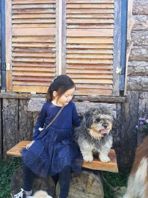 DaLat Bunny Hill Trải Nghiệm Một Ngày Làm Nông Dân Ở Xứ Sở Mộng Mơ