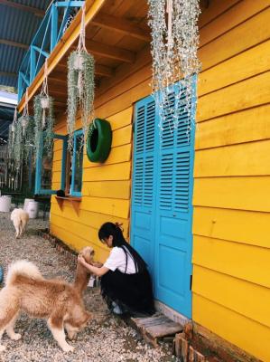 DaLat Bunny Hill Trải Nghiệm Một Ngày Làm Nông Dân Ở Xứ Sở Mộng Mơ