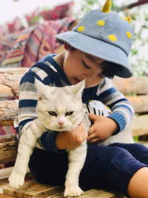 DaLat Bunny Hill Trải Nghiệm Một Ngày Làm Nông Dân Ở Xứ Sở Mộng Mơ