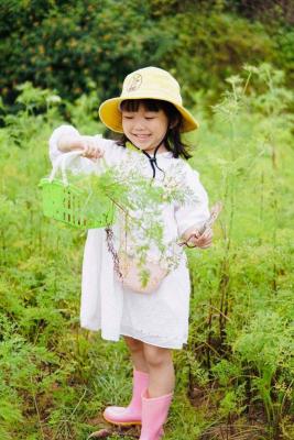 DaLat Bunny Hill Trải Nghiệm Một Ngày Làm Nông Dân Ở Xứ Sở Mộng Mơ