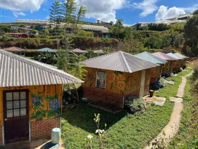 DaLat Bunny Hill Trải Nghiệm Một Ngày Làm Nông Dân Ở Xứ Sở Mộng Mơ