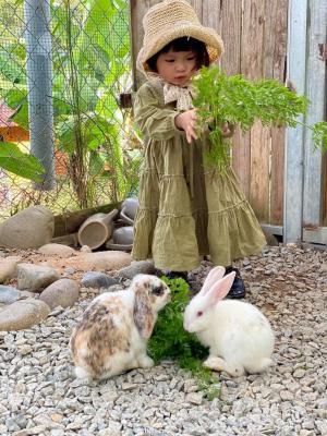 DaLat Bunny Hill Trải Nghiệm Một Ngày Làm Nông Dân Ở Xứ Sở Mộng Mơ