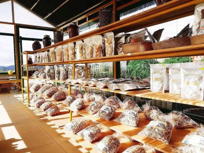 DaLat Bunny Hill Trải Nghiệm Một Ngày Làm Nông Dân Ở Xứ Sở Mộng Mơ