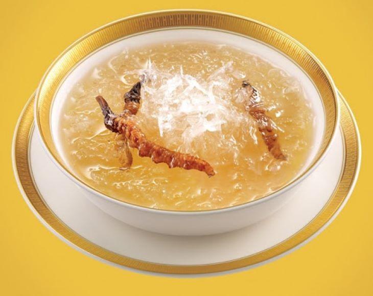 Bảo quản Đông Trùng Hạ Thảo tươi bằng cách chưng với yến