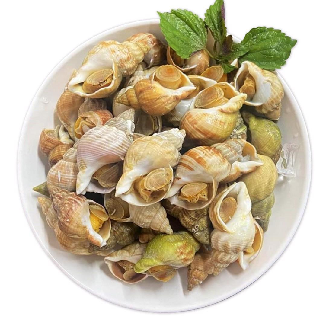Ốc Bulot Pháp Ốc Bulot Pháp