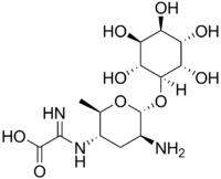 HOẠT CHẤT KASUGAMYCIN LÀ GÌ? – AGRICULTURE