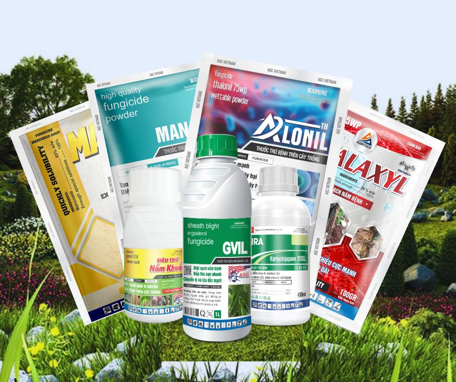 A group of different types of medicineDescription automatically generated
