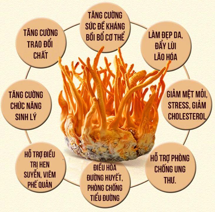 loi-ich-khi-su-dung-dong-trung-ha-thao