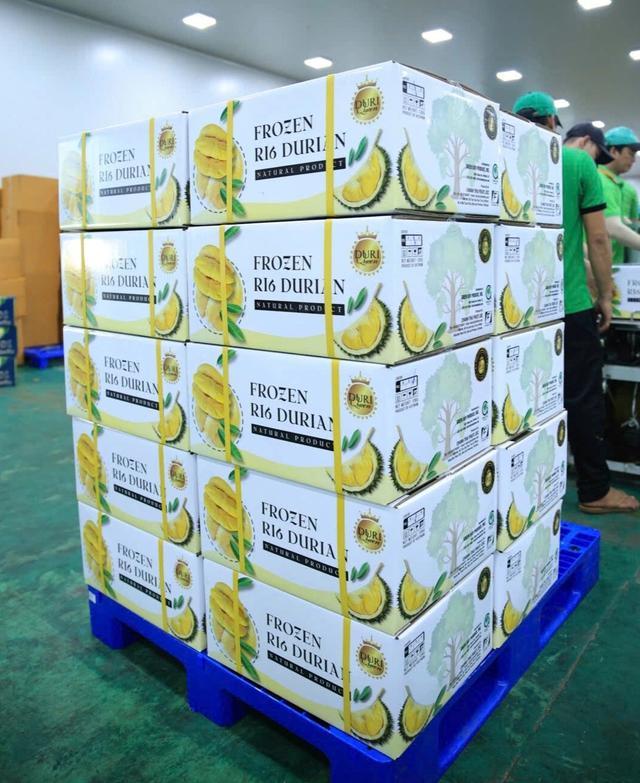 Cơ hội mới của sầu riêng Việt ở thị trường Trung Quốc- Ảnh 2.