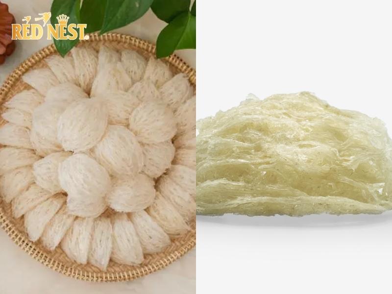 yến sào tinh chế sợi ngắn và sợi dài