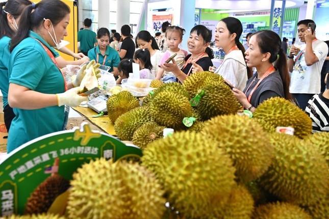 Các nước cạnh tranh khốc liệt thị phần sầu riêng Trung Quốc ảnh 1