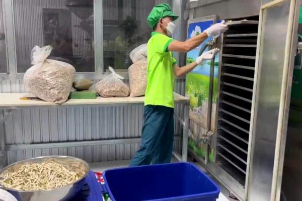tra mang cau ba giao tuyen hop 100gn