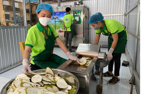 quy trình chế biến trà mãng cầu 