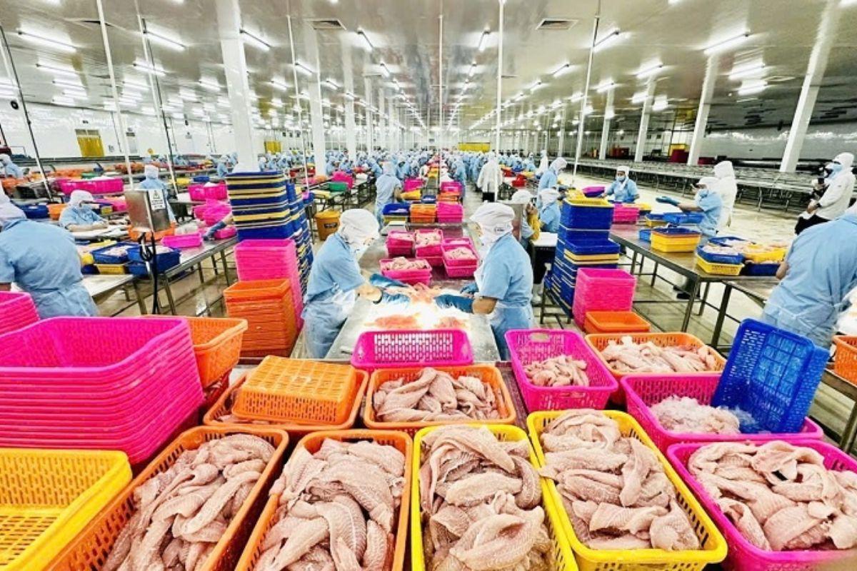 Thị trường xuất khẩu nhiều biến động
