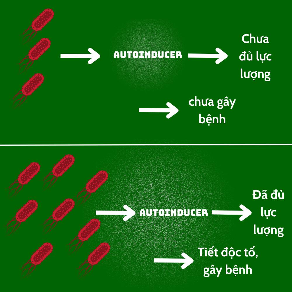 vi khuẩn gây hại