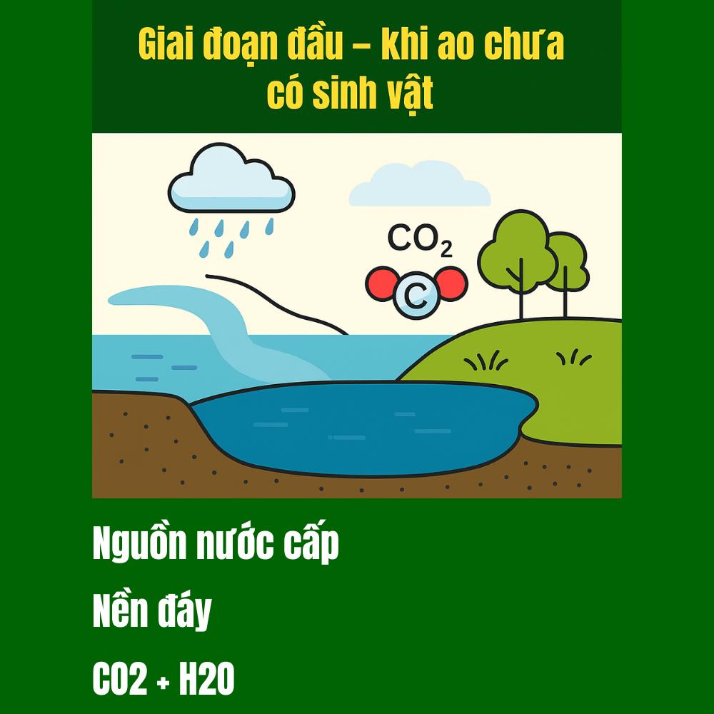 pH trong ao tôm